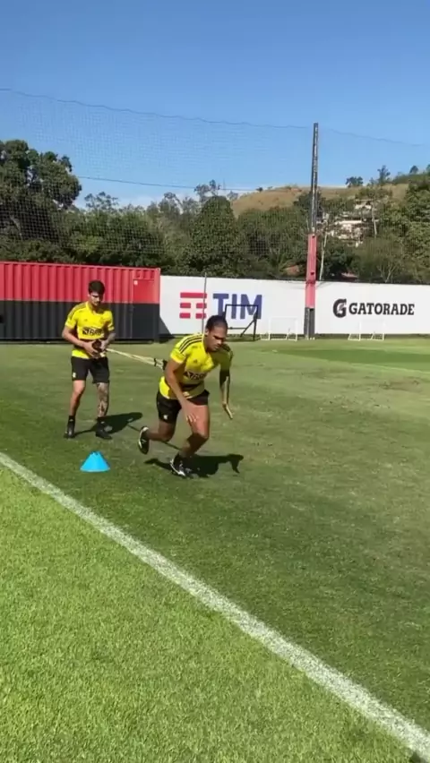 sofia van dijk fanvue leaked