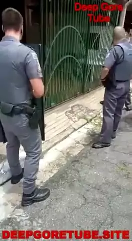 liveleak alternative gore