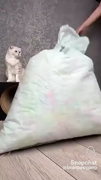 kagawad bing twitter