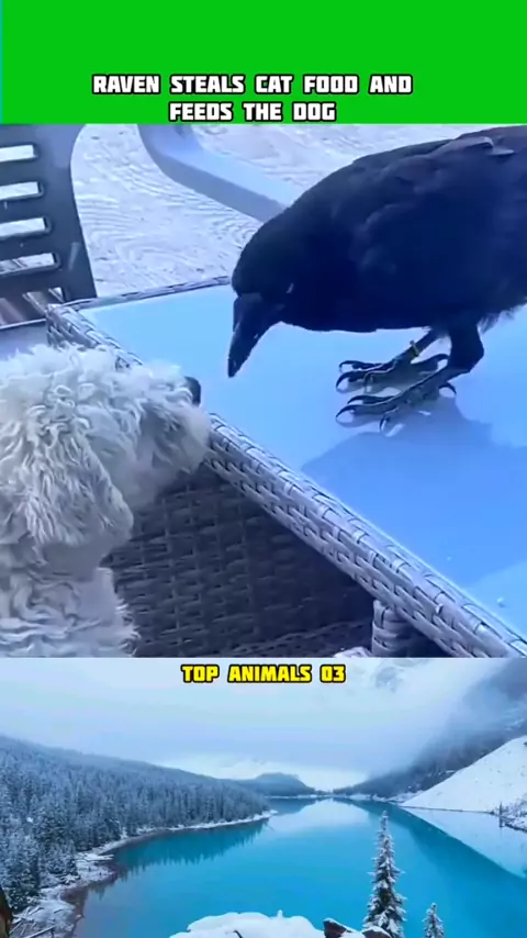 soooraven | Discover