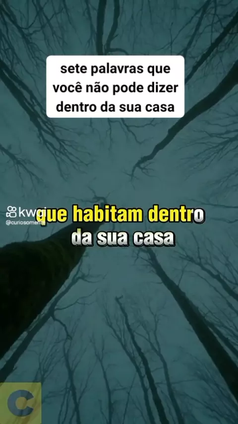 as sete palavras que nao se pode dizer na tv | Dis ...| Kwai