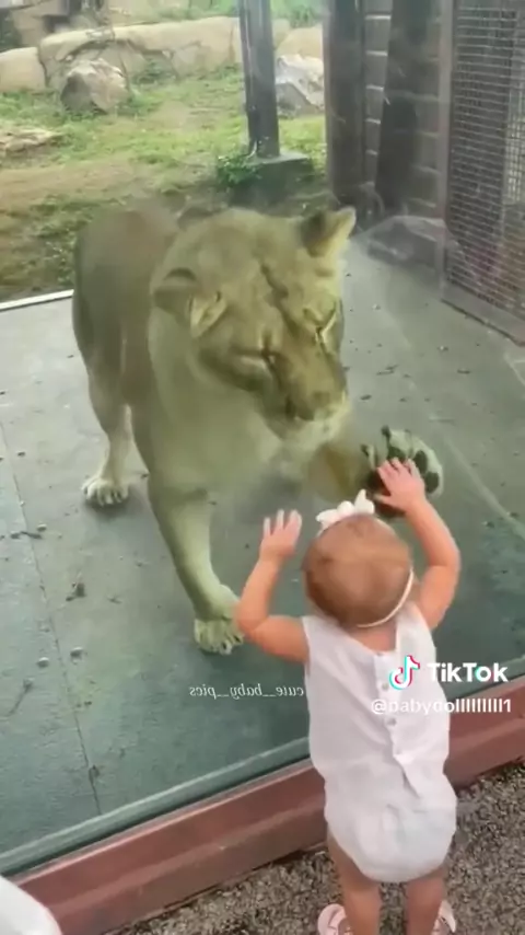 @babydollll | Discover