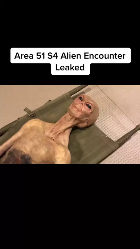 area51 freak leaks | Discover