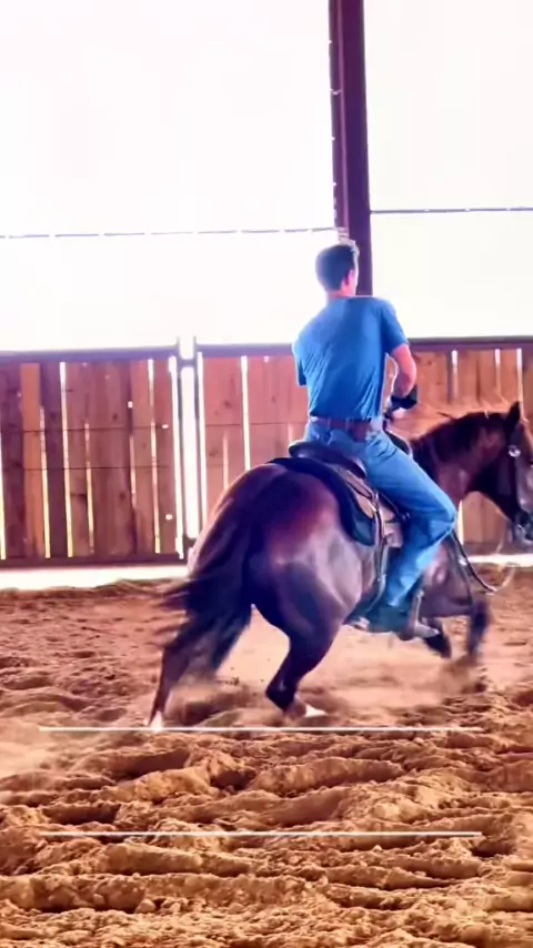 horsequeenleah | Discover