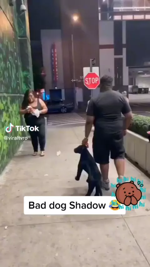 badiesonlytv | Discover