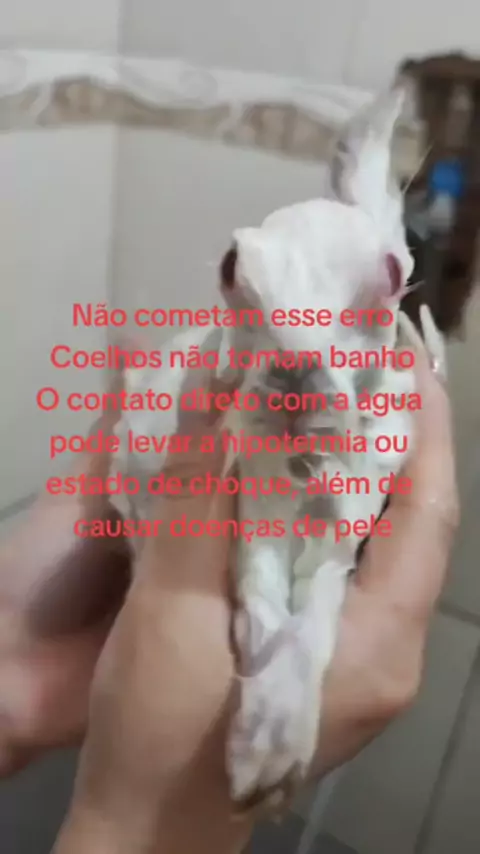 itsmiabunny Discover