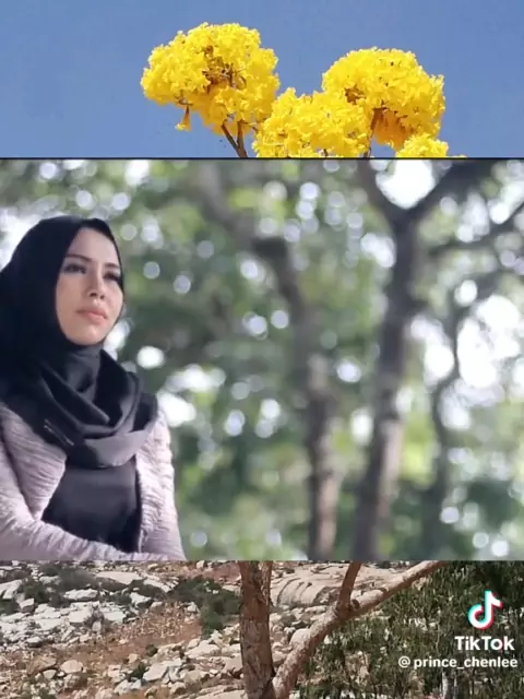 eden gross paislee prince & paislee prince leakedKwai