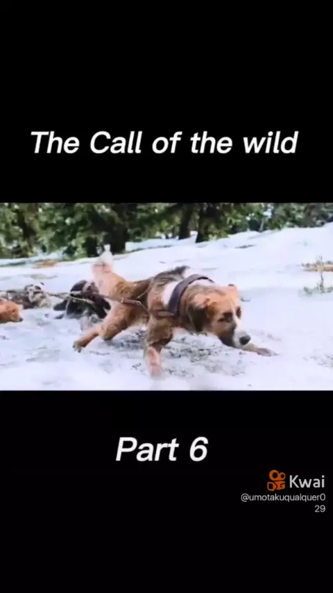 The Call Of The Wild Hindi Dubbed Download