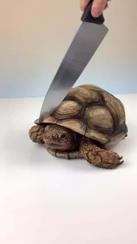 pizzacake leaked & leaked pizza cake comics| Disco| Kwai