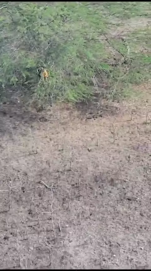 @angialvarezxo Discover