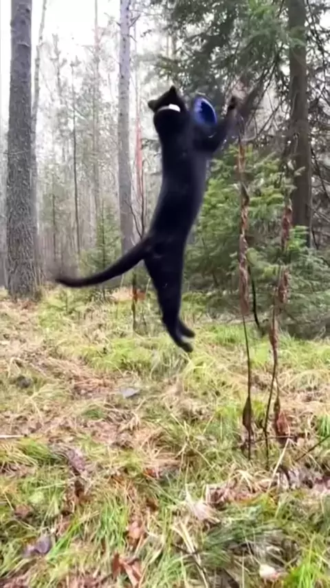 naughtyluna7 videos & naughtyluna7| Discover