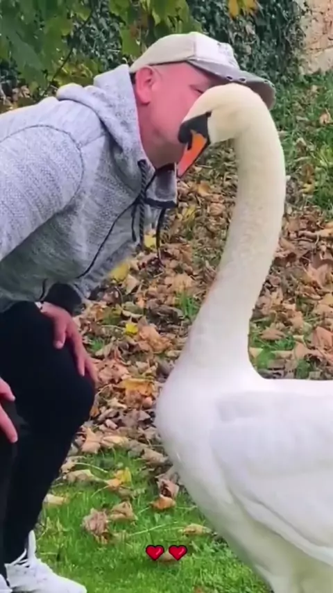 cri3_x erome & wbery2 erome| Discover