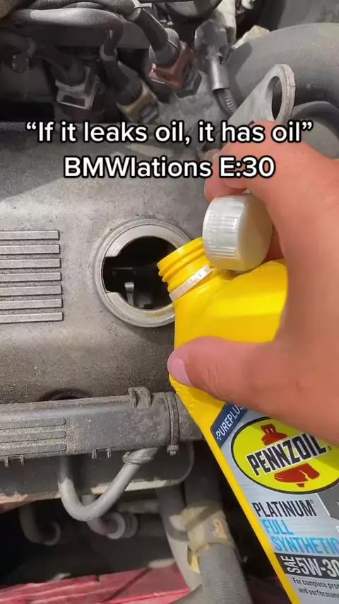 e30 princesse & bmw e30 princess leak| Discover