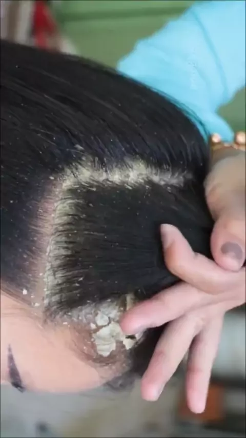 maplestar full video free & maplestar full videosKwai