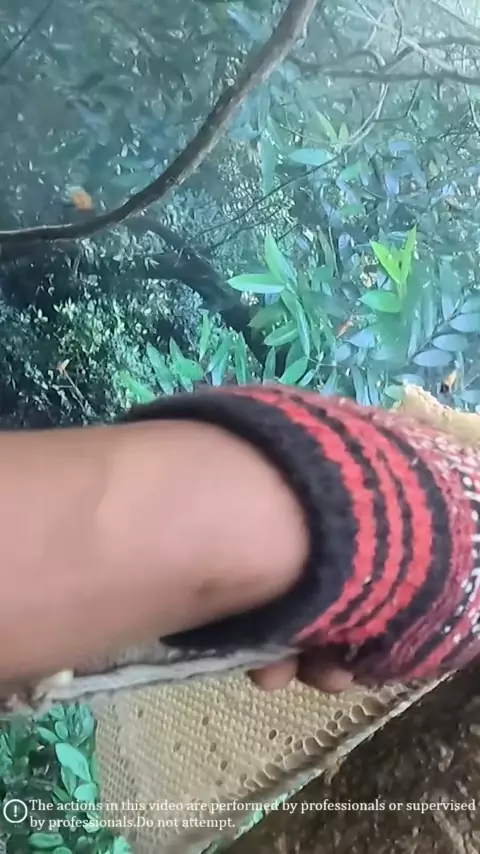 honeyybee.bby xxx & honeyybee.bby insta| Discover