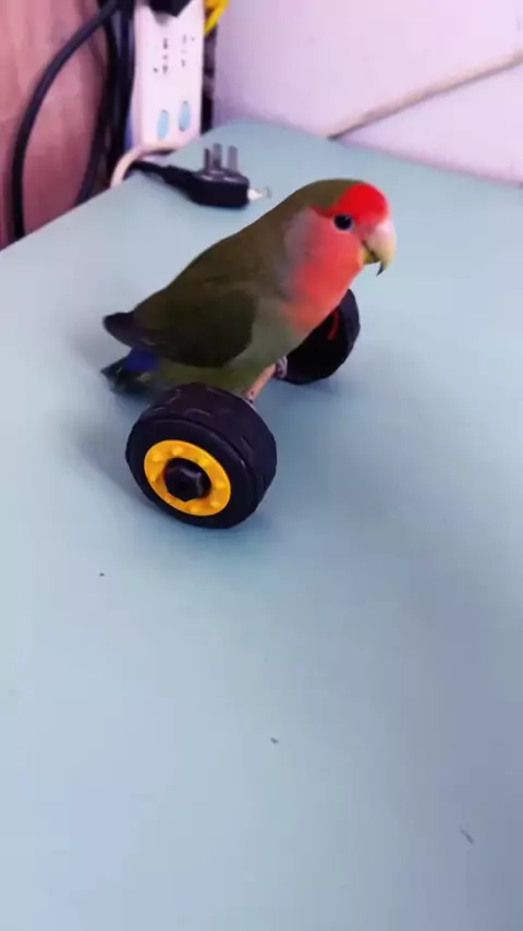 Anon (film) intelligence overview