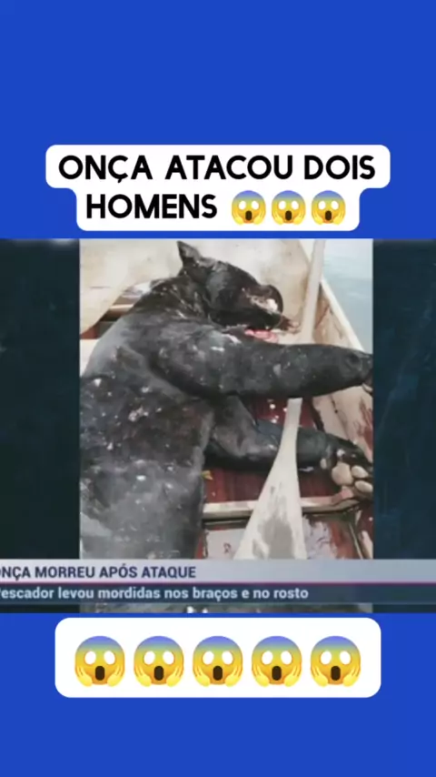 o vídeo da onça que comeu o homem | Discover