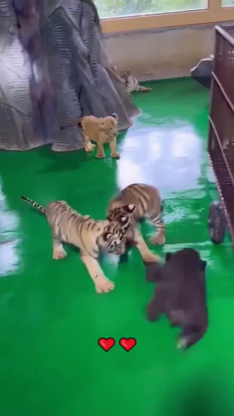 best friends play omegle game