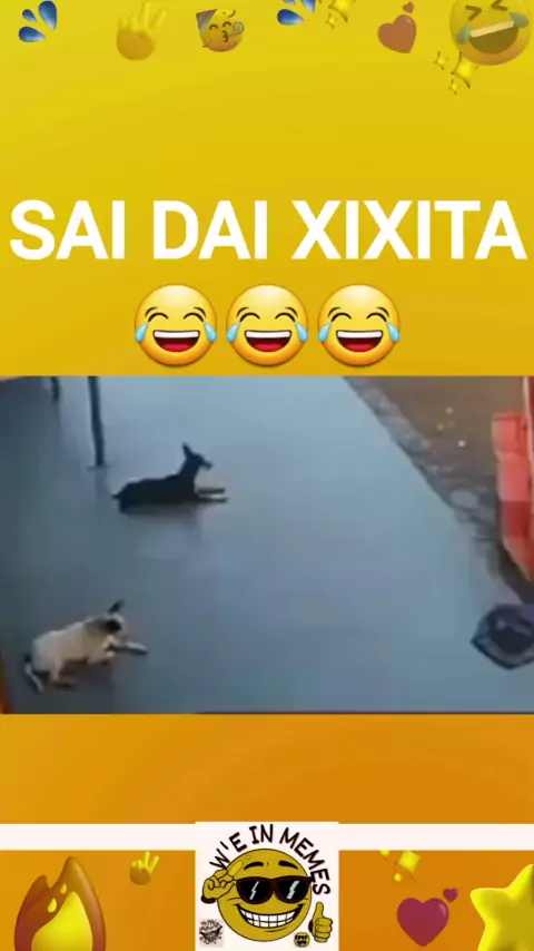 xixigina vk Discover