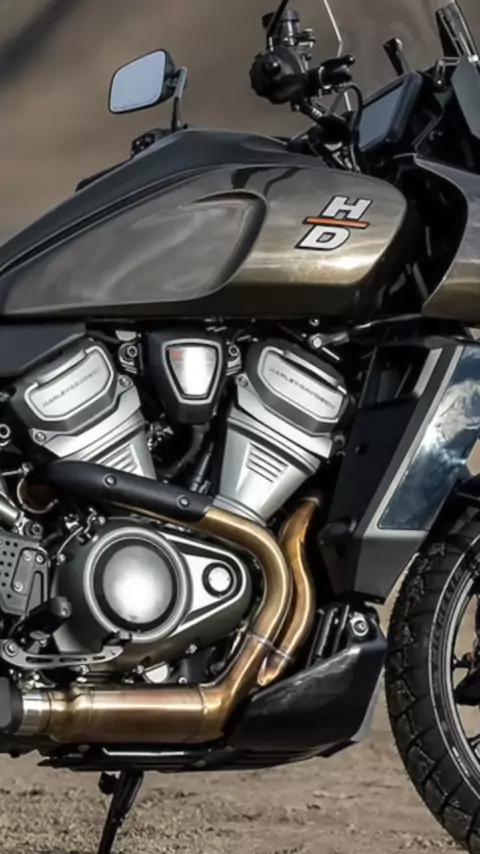 @harleyrawr+leaked | Discover