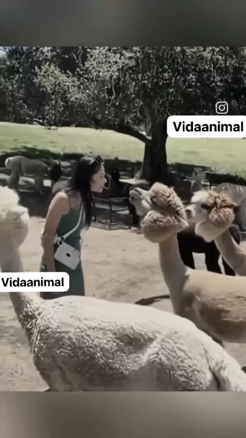 alesya_outdoors patreon leaked