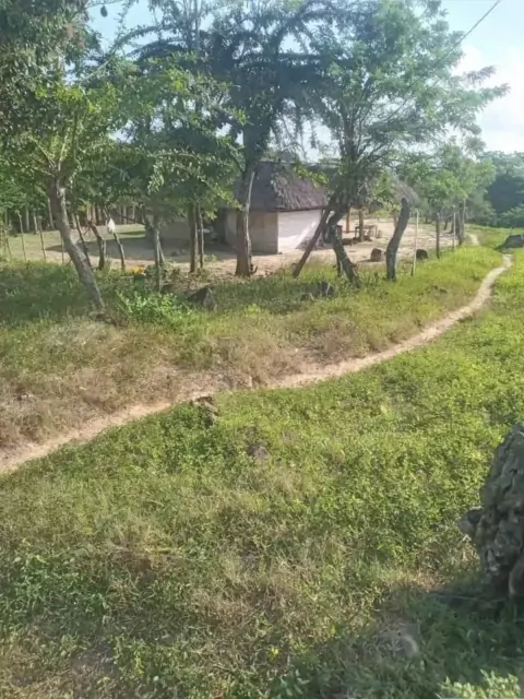 videos de joselis johana bolivar