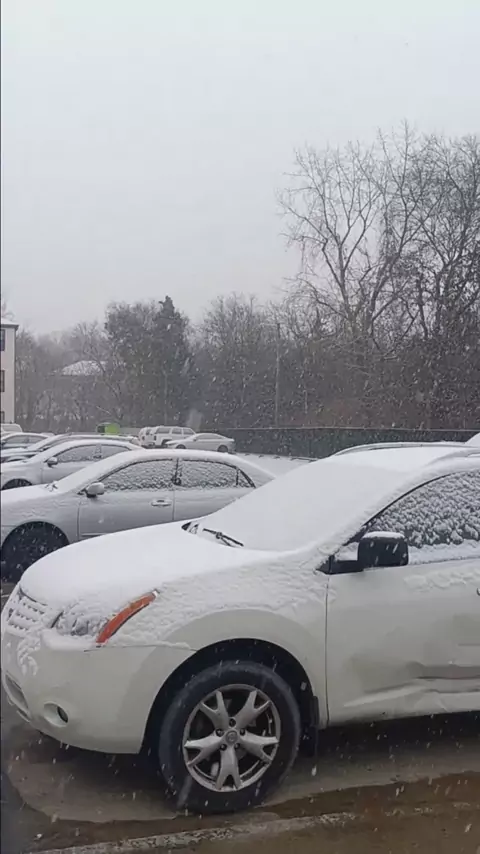 sharmy vlog saree navel hot