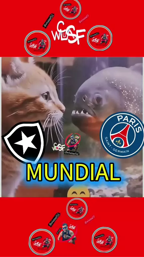 Pvc Psg PVC: ‘Jogo com o PSG é o melhor teste, mas Botafog ...| Kwai