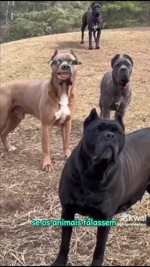 marissa munoz of leak