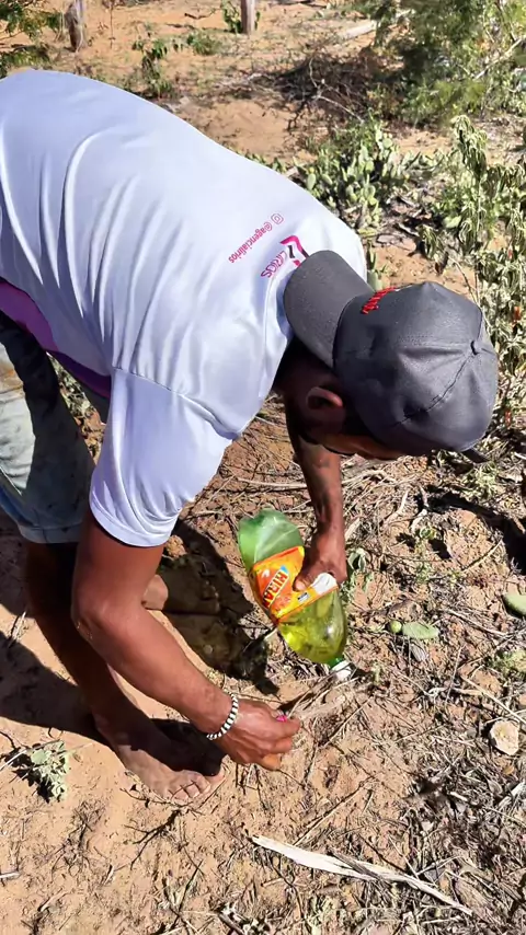 katrina vianna nude leaked Discover